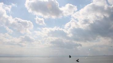 施設からの眺望 / 11