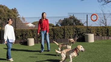 ペット同伴可 / 11