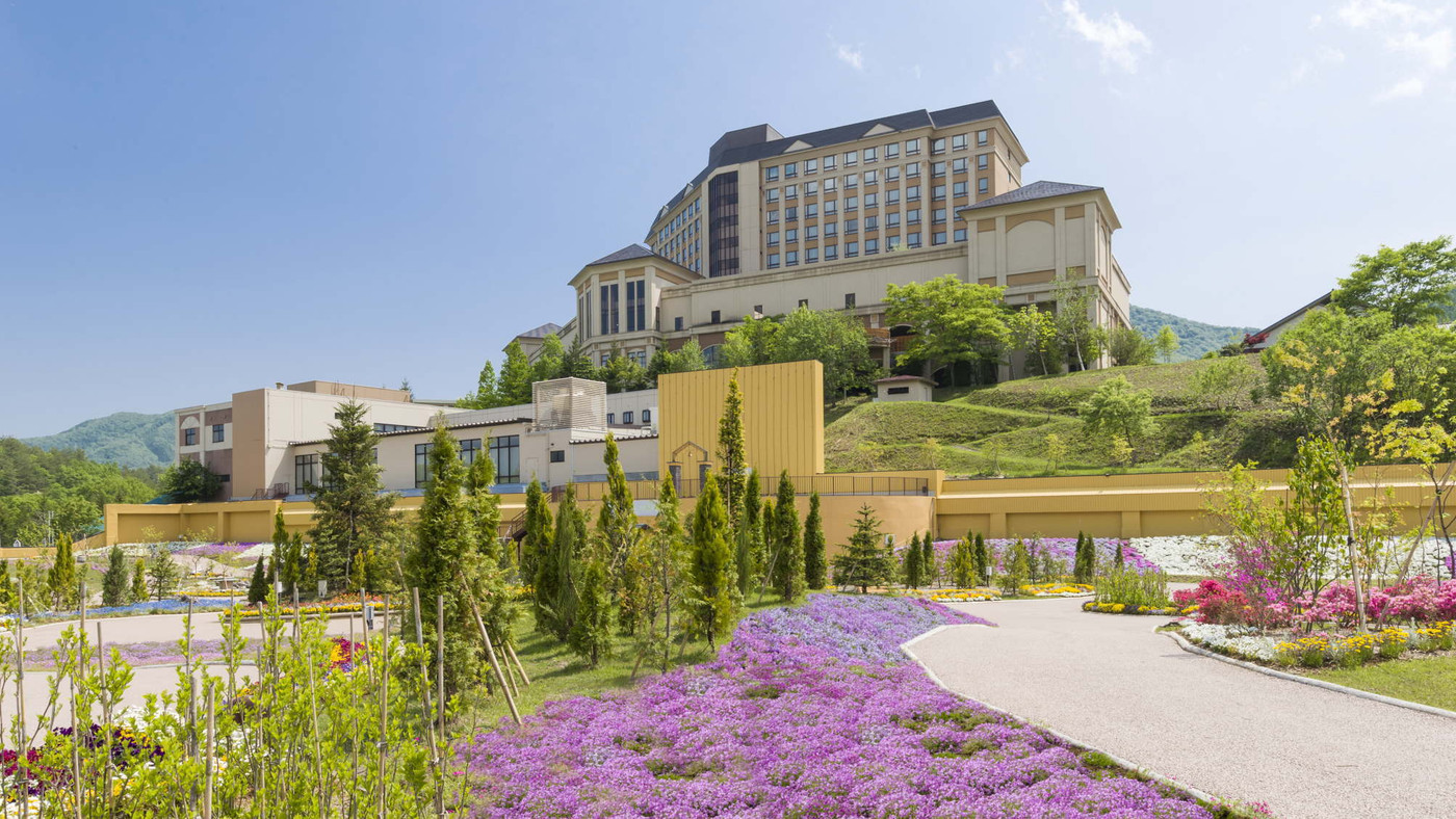 銀河鉄道が駆け抜けるような星空を眺めよう3422560