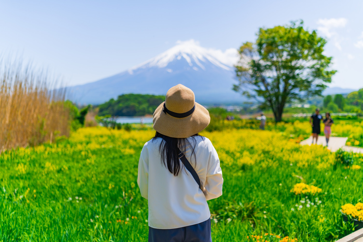 素敵なホテルで、一人旅をもっと楽しく3479099