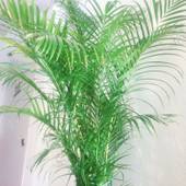 ホテルオクシオ（岡山県 ビジネスホテル） / 2