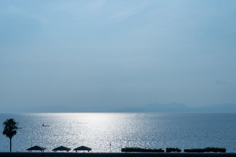 ビーチ / オーシャン ビュー