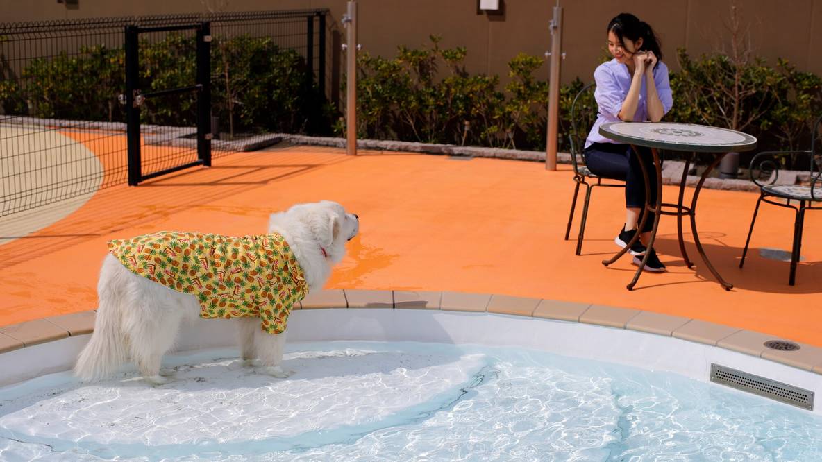 レジーナリゾート鴨川