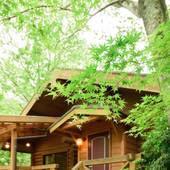 湯布院 山荘どんぐり(大分県 コテージ・ロッジ・一棟貸) / 5