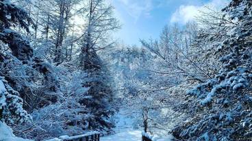 施設の敷地 / 19