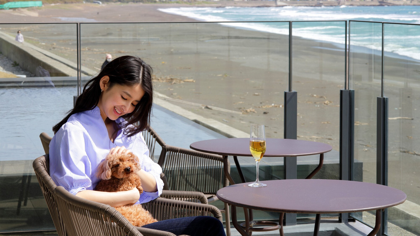 愛犬家の女子旅におすすめ！ワンちゃんと泊まれる海辺のホテル4037690