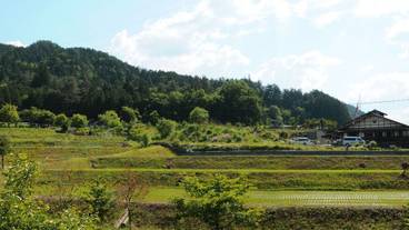 部屋からの景観 / 16