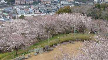 サンデッキ / 10