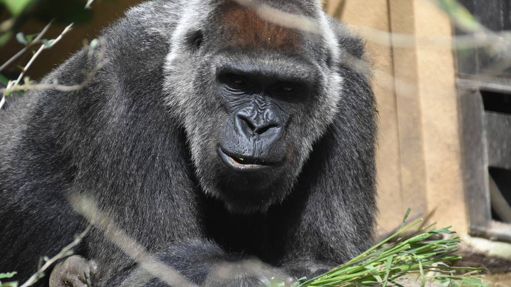 ファミリー旅の始まりは
「京都市動物園」から / 2