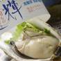 【楽天スーパーSALE】◆特選会席　味覚探訪◆～鳥取産天然岩牡蠣「夏輝」白いか　のどぐろ　鳥取和牛  | 鳥取温泉 観水庭こぜにや