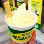 わざわざ食べに行きたい！関東の美味しいご当地ソフトクリーム7選