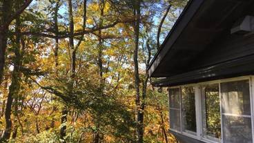 施設の敷地 / 10