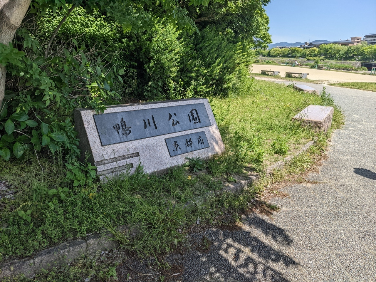 11.ワンコの定番お散歩スポット「鴨川」2825538