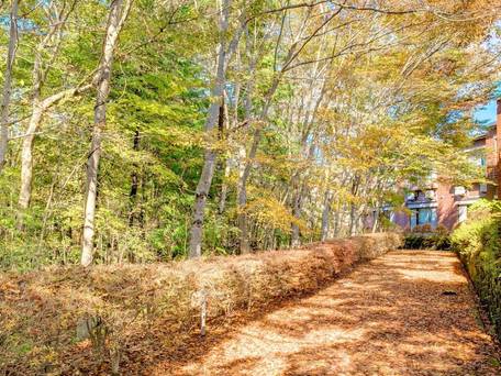 フォレストリゾート 山中湖 秀山荘 / 5