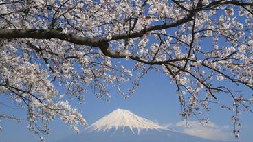 施設の敷地 / 25