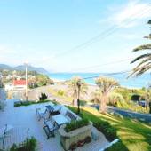 白浜ペンション 百万本のバラ(静岡県 ペンション) / 4