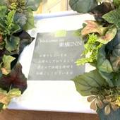 東横イン名古屋尾張一宮駅前（愛知県 ビジネスホテル） / 5