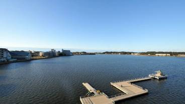 施設からの眺望 / 19