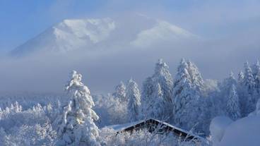 スノー スポーツとスキー / 13