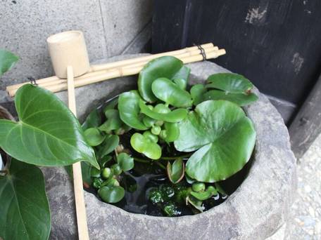 ギャラリーのざわinn / 5