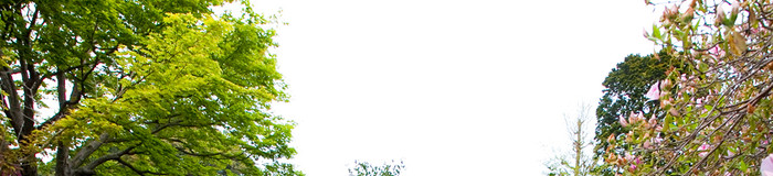 青湯が自慢の別府・湯布院の宿5選♪神秘的な青い温泉に癒されて【大分】