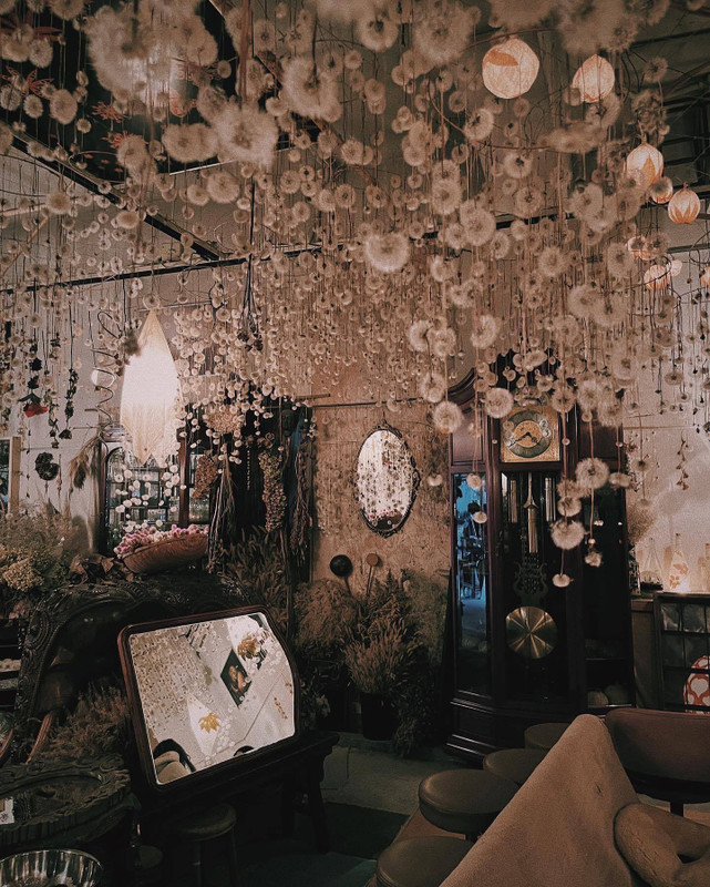 lanavenderさんの写真 / 2