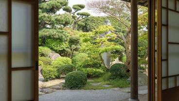 部屋からの景観 / 28