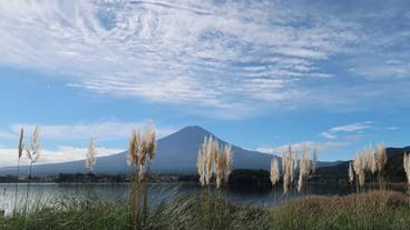 ランド ビュー / 16