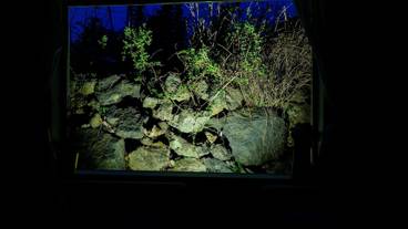 ガーデン ビュー / 6