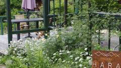 Gallery HARA＆GUESTHOUSE