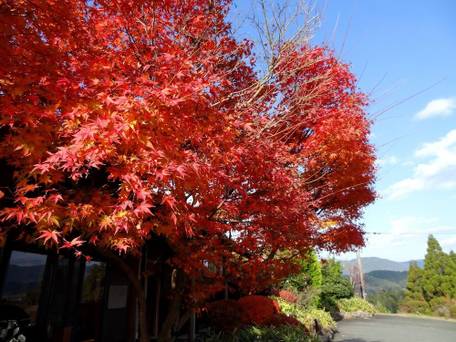 里山の隠れ宿 花富亭（かふうてい） / 5