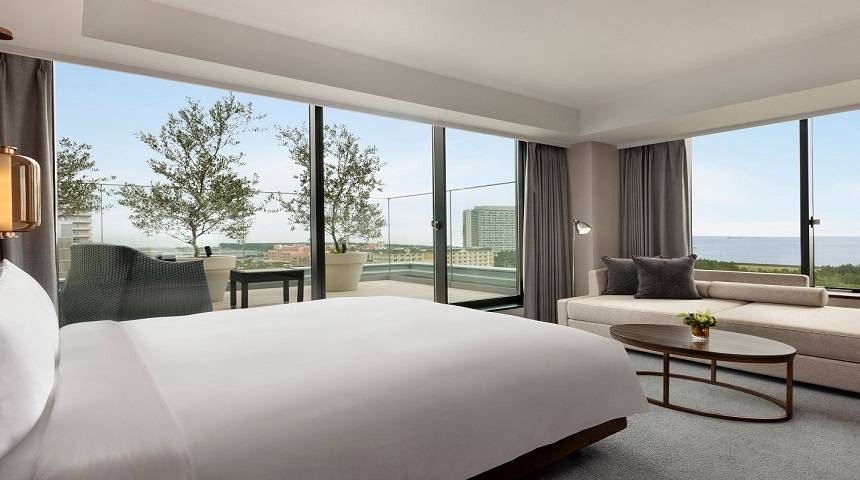 テラスキング / 2