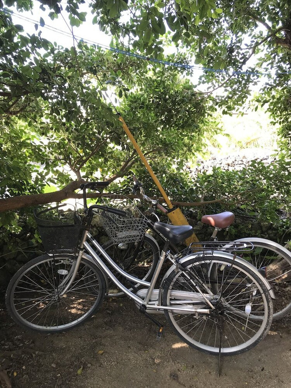 自転車