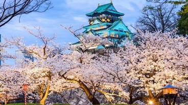 観光スポット / 4