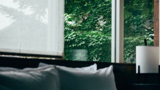 アジアオリエンタル (1)