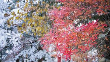 施設の敷地 / 28