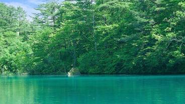 観光スポット / 5