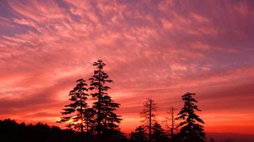 施設からの眺望 / 28