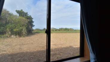 客室の設備とサービス / 24