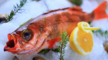 食事・飲み物 / 6