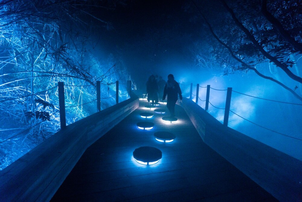 ドキドキ冒険気分を味わえるアクティビティ3478427