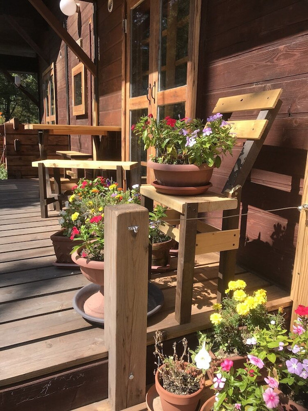 テラス / パティオ