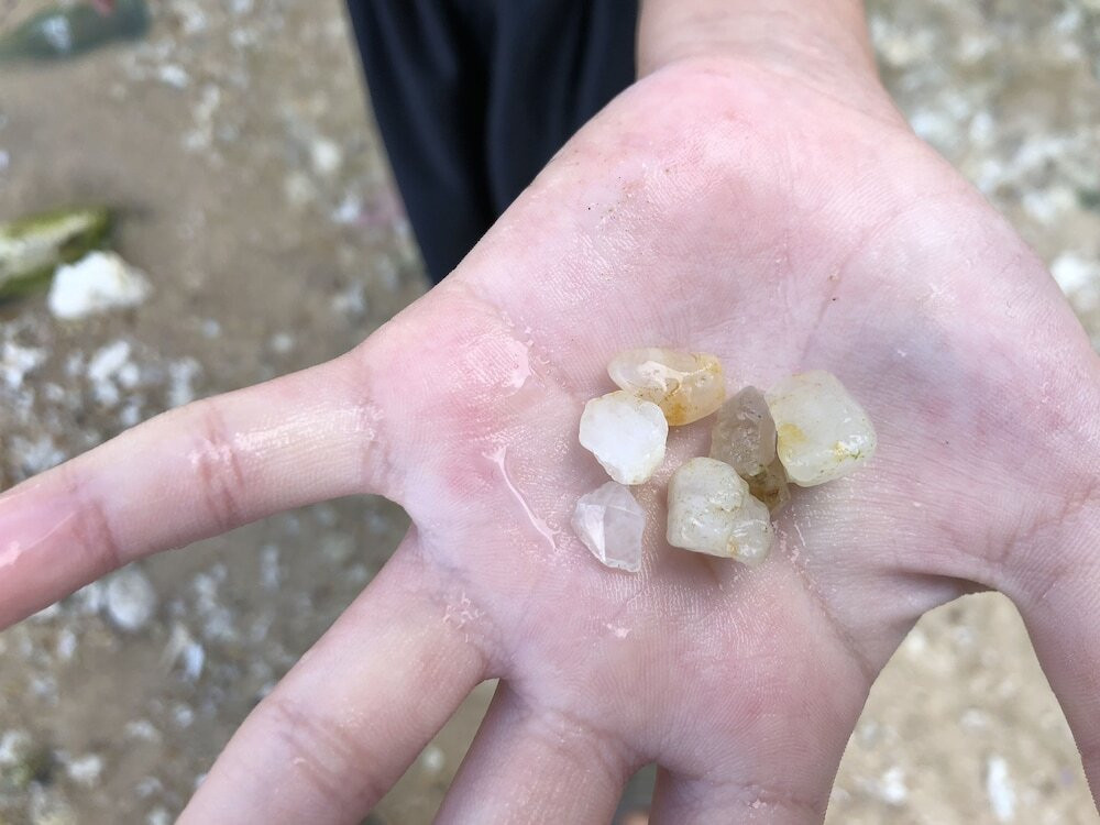 ビーチ / オーシャン ビュー