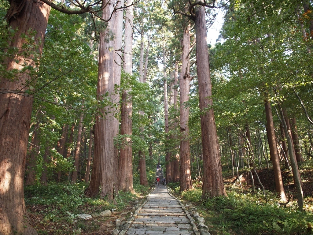 羽黒山【山形県】1860170