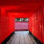 赤い鳥居の先には、かわいすぎる絵馬があった♡NEXT映えスポットを巡る女子旅へ