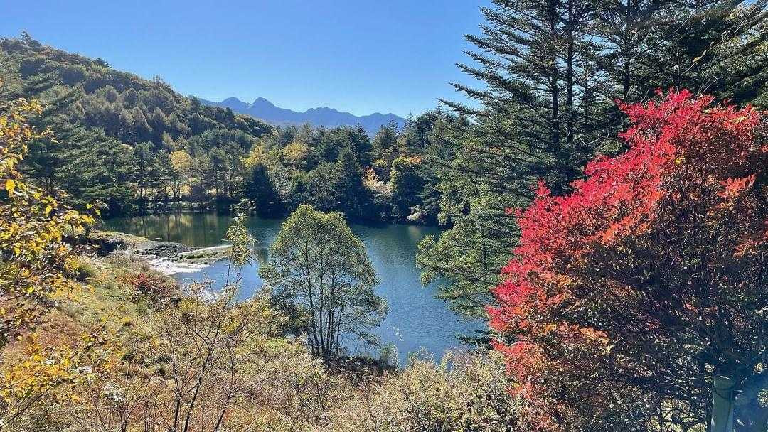 i.am.izumiさんの写真 / 3