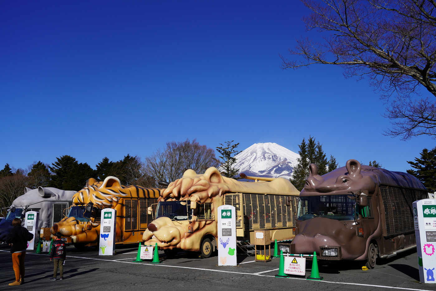 富士サファリパーク　ジャングルバス