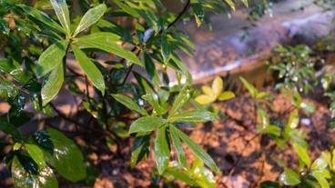 施設からの眺望 / 9