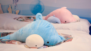 海のコンセプトルーム [スーペリア] [和洋室] [禁煙] [眺望なし]