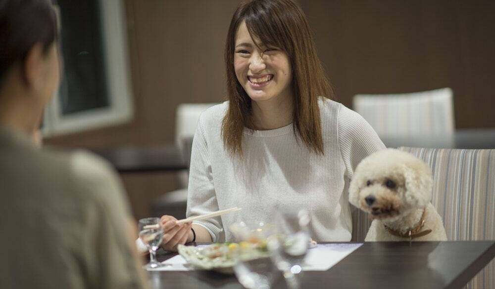 愛犬と一緒に楽しむ夕食 / 1